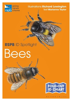 Book cover for RSPB ID Spotlight - Bees