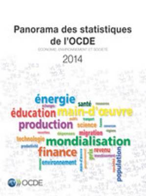 Book cover for Panorama Des Statistiques de L'Ocde 2014