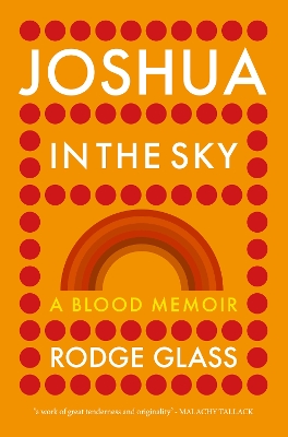 Book cover for Joshua in the Sky