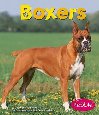 Cover of Boxers