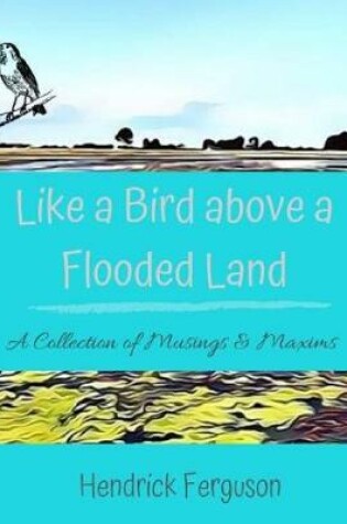 Cover of Like a Bird above a Flooded Land