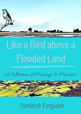 Cover of Like a Bird above a Flooded Land