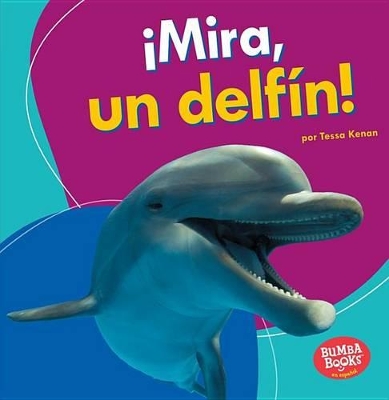 Book cover for ¡Mira, Un Delfín! (Look, a Dolphin!)