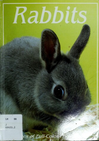 Book cover for Rabbits