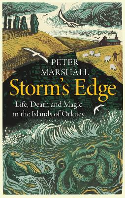Book cover for Storm’s Edge