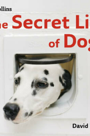 Cover of The Secret Life of Dogs