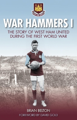 Book cover for War Hammers I