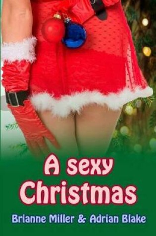 Cover of A sexy Christmas