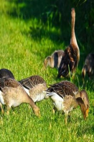 Cover of Grazing Geese Notebook