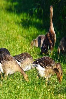 Book cover for Grazing Geese Notebook