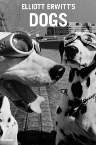 Cover of Elliott Erwitt's Dogs