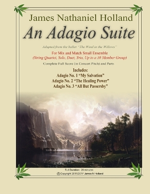 Book cover for An Adagio Suite