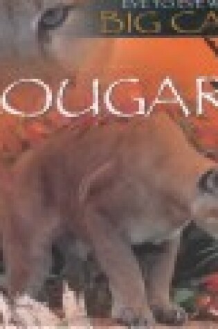 Cover of Cougars