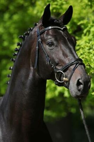 Cover of The Dutch Warmblood Horse Portrait Journal