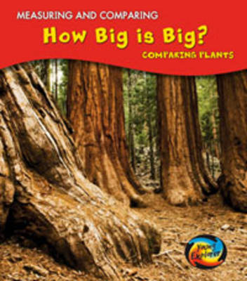 Book cover for How Big Is Big?