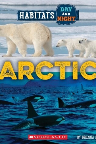 Cover of Arctic (Wild World: Habitats Day and Night)