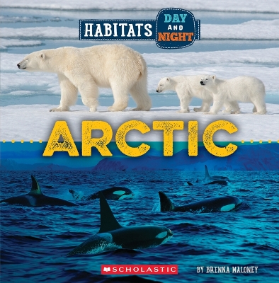 Cover of Arctic (Wild World: Habitats Day and Night)