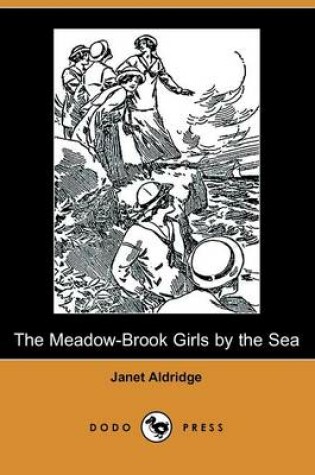 Cover of The Meadow-Brook Girls by the Sea, or the Loss of the Lonesome Bar(Dodo Press)