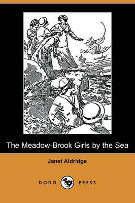 Book cover for The Meadow-Brook Girls by the Sea, or the Loss of the Lonesome Bar(Dodo Press)