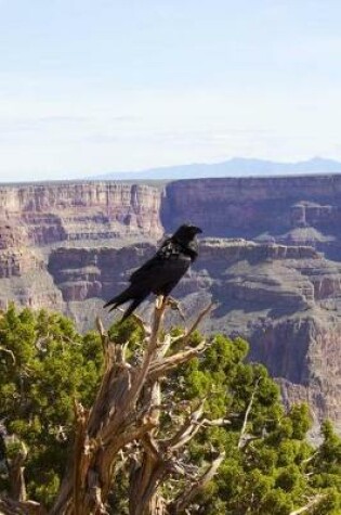 Cover of Crow at the Grand Canyon Nature Journal