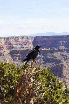 Book cover for Crow at the Grand Canyon Nature Journal