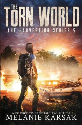 Book cover for The Torn World
