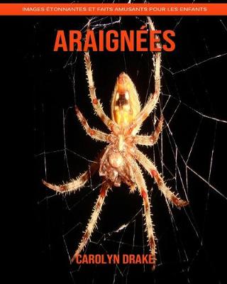 Book cover for Araignées
