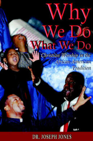 Cover of Why We Do What We Do