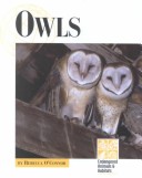 Book cover for Owls