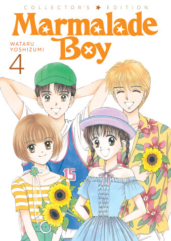 Book cover for Marmalade Boy: Collector's Edition 4