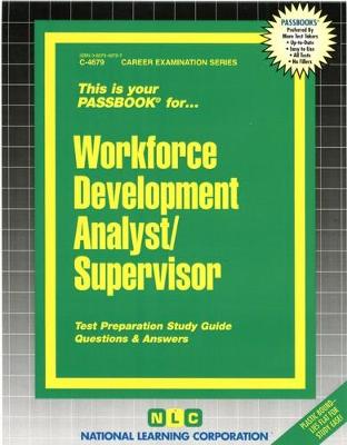 Book cover for Workforce Development Analyst/Supervisor