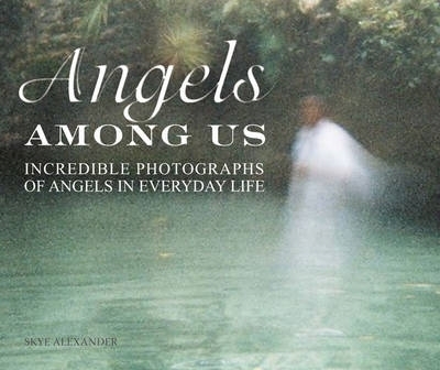 Book cover for The Angels Among Us