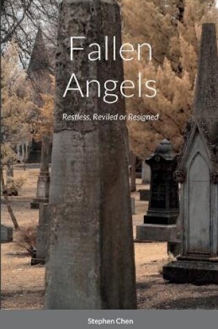 Cover of Fallen Angels