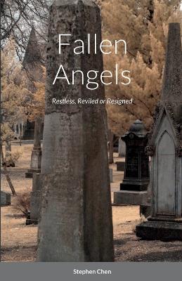 Book cover for Fallen Angels