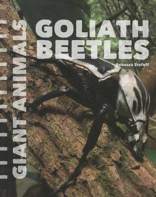 Cover of Goliath Beetles