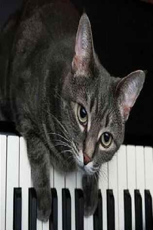 Cover of Piano Cat Notebook