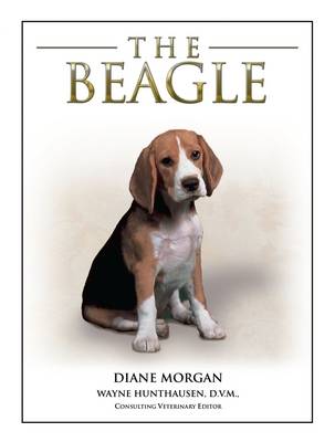 Book cover for The Beagle