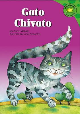 Book cover for Gato Chivato