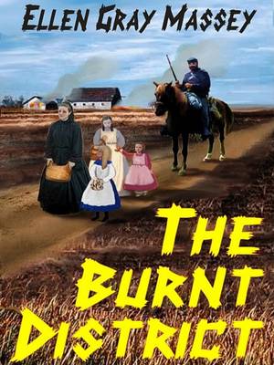 Book cover for The Burnt District