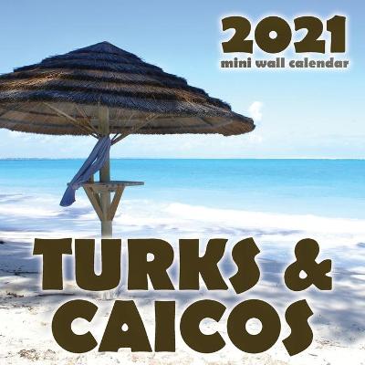 Cover of Turks & Caicos 2021 Mini Wall Calendar