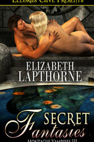 Cover of Secret Fantasies
