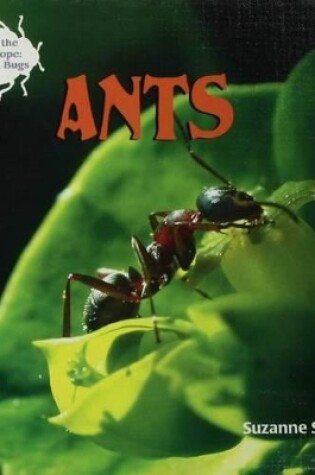 Cover of Ants