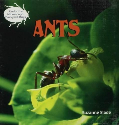 Cover of Ants