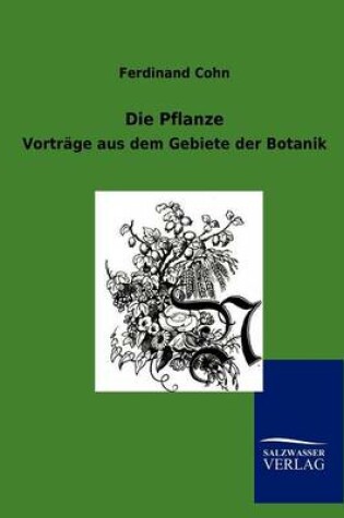 Cover of Die Pflanze