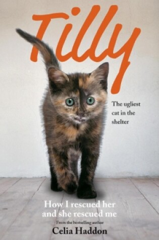Cover of Tilly: The Ugliest Cat