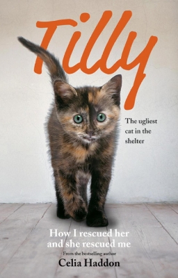 Book cover for Tilly: The Ugliest Cat