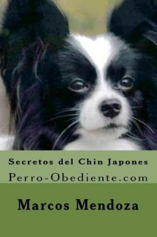 Cover of Secretos del Chin Japones