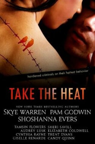 Cover of Take the Heat