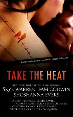 Book cover for Take the Heat