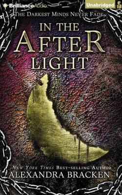 Book cover for In the Afterlight
